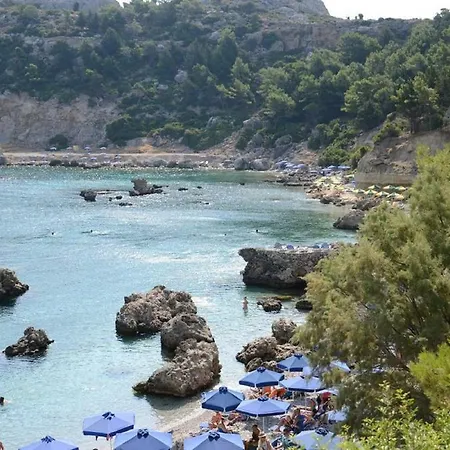 Avi Φαληράκι