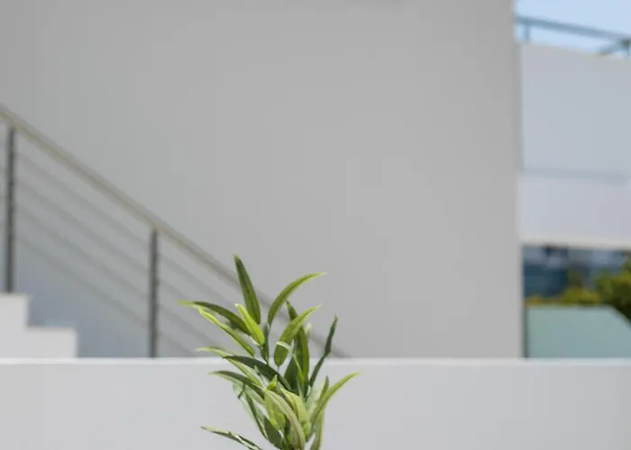 Avi Appartement Faliraki